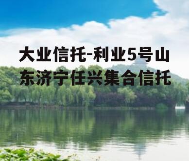 大业信托-利业5号山东济宁任兴集合信托