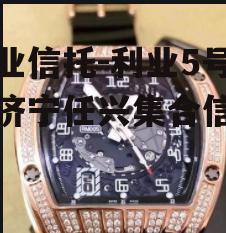 大业信托-利业5号山东济宁任兴集合信托