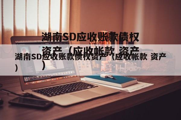 湖南SD应收账款债权资产（应收帐款 资产）
