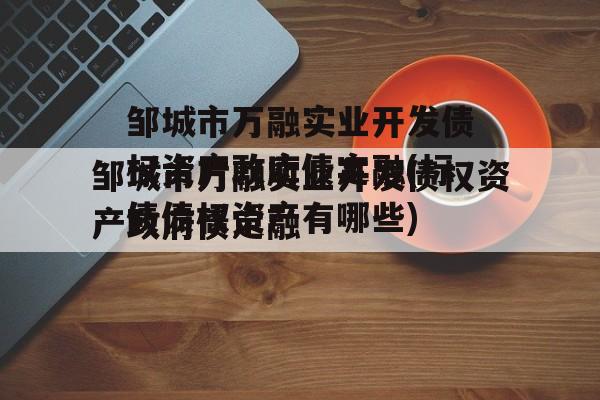 邹城市万融实业开发债权资产政府债定融(标债债权资产有哪些)