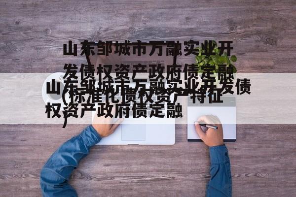 山东邹城市万融实业开发债权资产政府债定融(标准化债权资产特征)