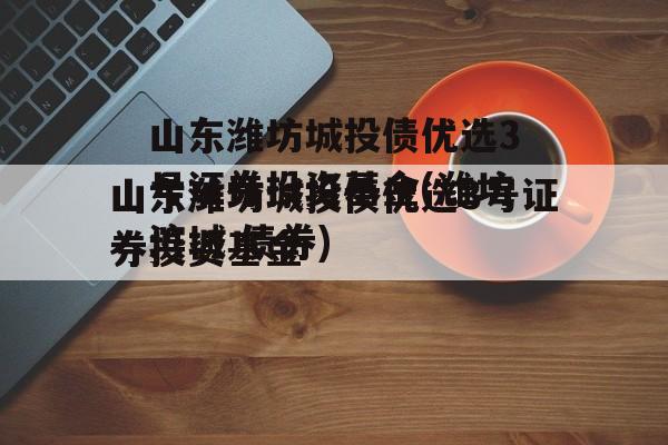 山东潍坊城投债优选3号证券投资基金(潍坊滨城 债券)