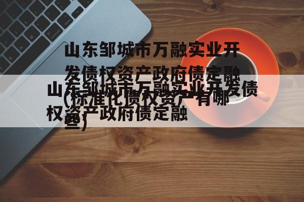 山东邹城市万融实业开发债权资产政府债定融(标准化债权资产有哪些)