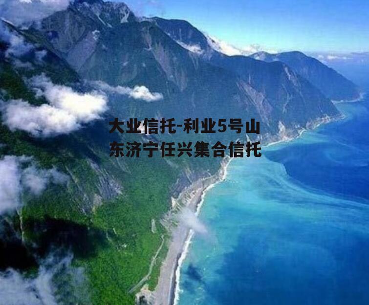 大业信托-利业5号山东济宁任兴集合信托