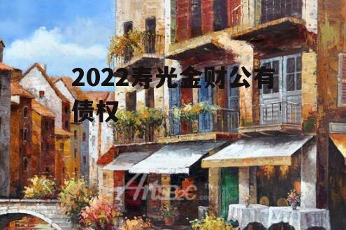 2022寿光金财公有债权