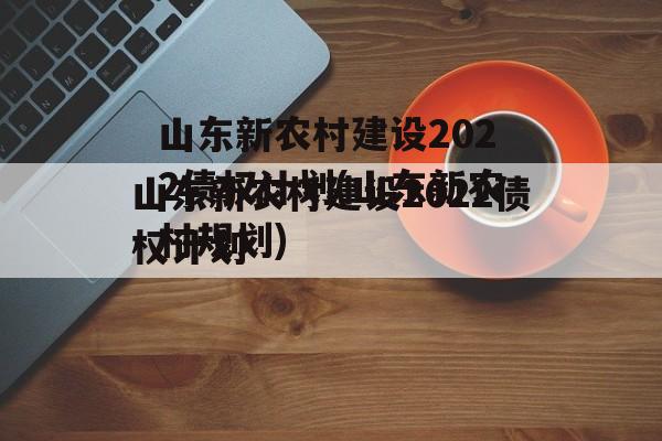 山东新农村建设2022债权计划(山东新农村规划)