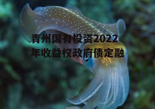 青州国有投资2022年收益权政府债定融