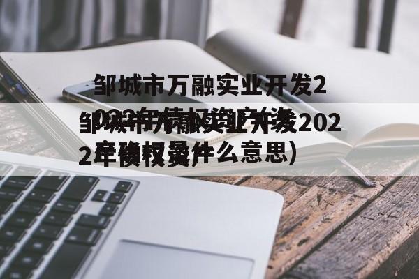 邹城市万融实业开发2022年债权资产(资产确权是什么意思)