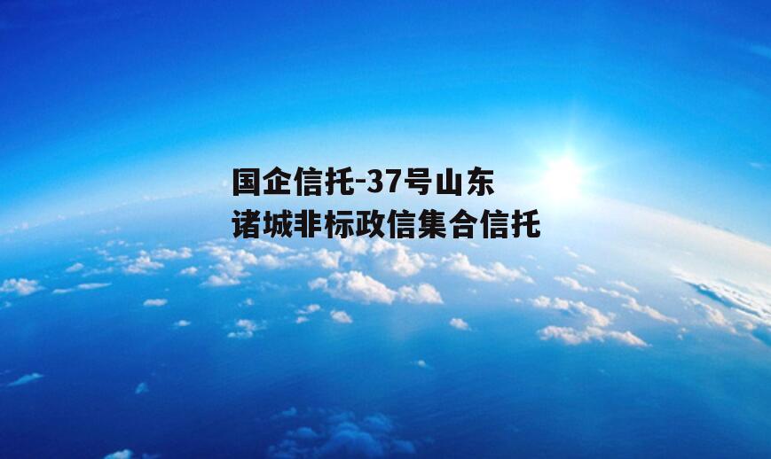 国企信托-37号山东诸城非标政信集合信托