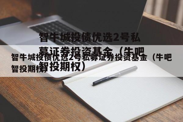 智牛城投债优选2号私募证券投资基金（牛吧智投期权）