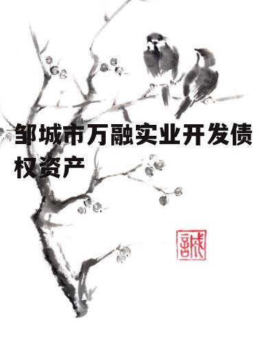 邹城市万融实业开发债权资产