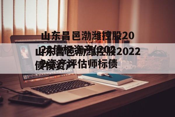 山东昌邑渤潍控股2022债权资产(2022资产评估师延期)