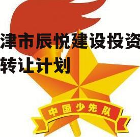 天津市辰悦建设投资债权转让计划
