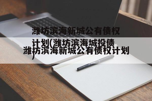 潍坊滨海新城公有债权计划(潍坊滨海城投债)