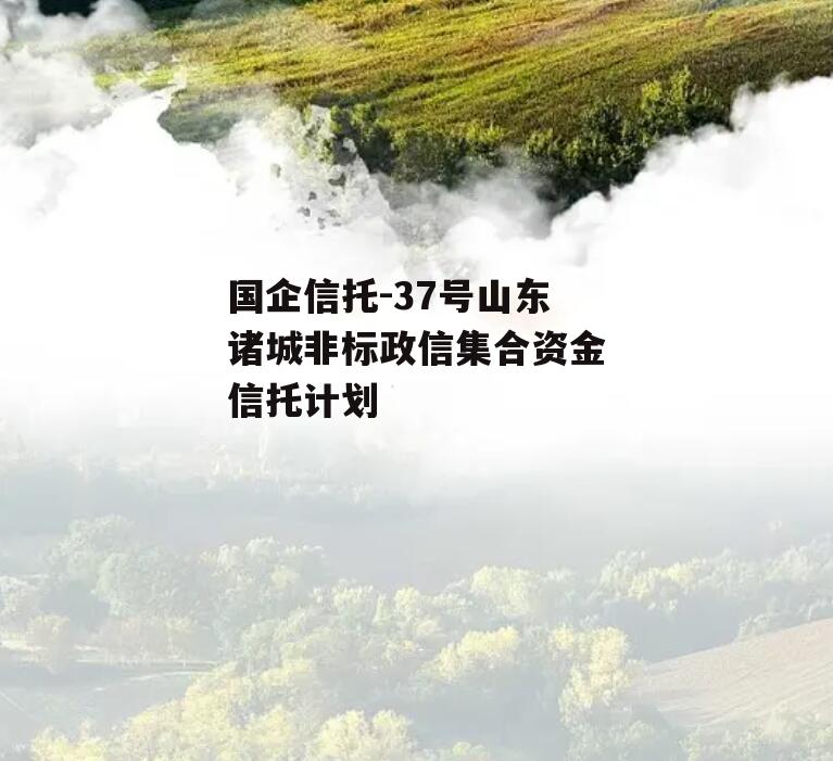 国企信托-37号山东诸城非标政信集合资金信托计划