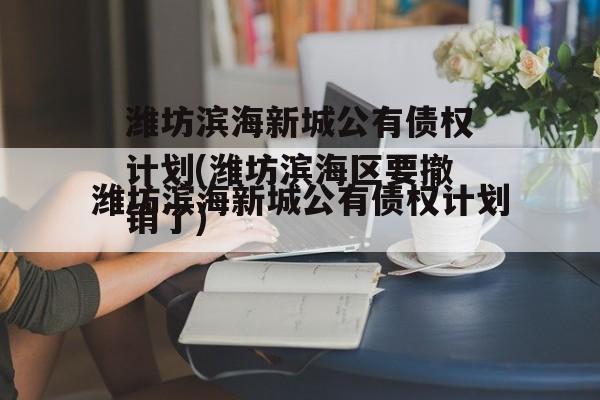 潍坊滨海新城公有债权计划(潍坊滨海区要撤销了)