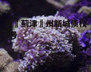 天‮蓟津‬州新城债权1号