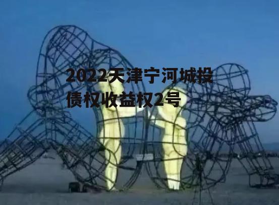 2022天津宁河城投债权收益权2号