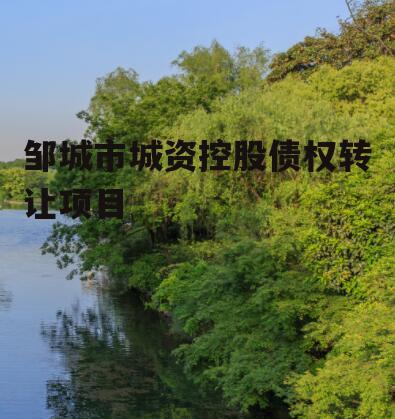 邹城市城资控股债权转让项目