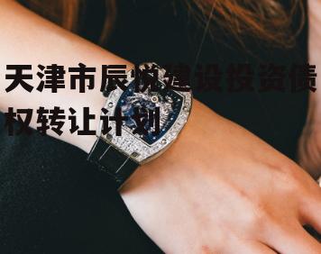 天津市辰悦建设投资债权转让计划