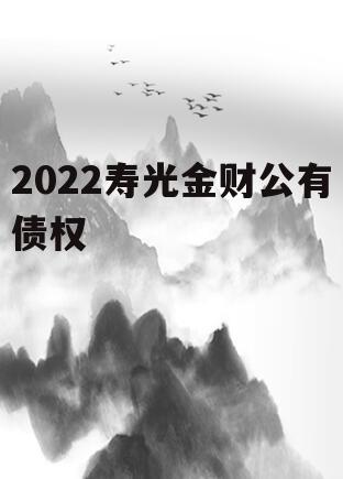2022寿光金财公有债权