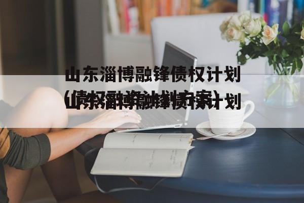 山东淄博融锋债权计划(债权融资计划方案)