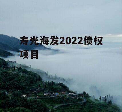 寿光海发2022债权项目