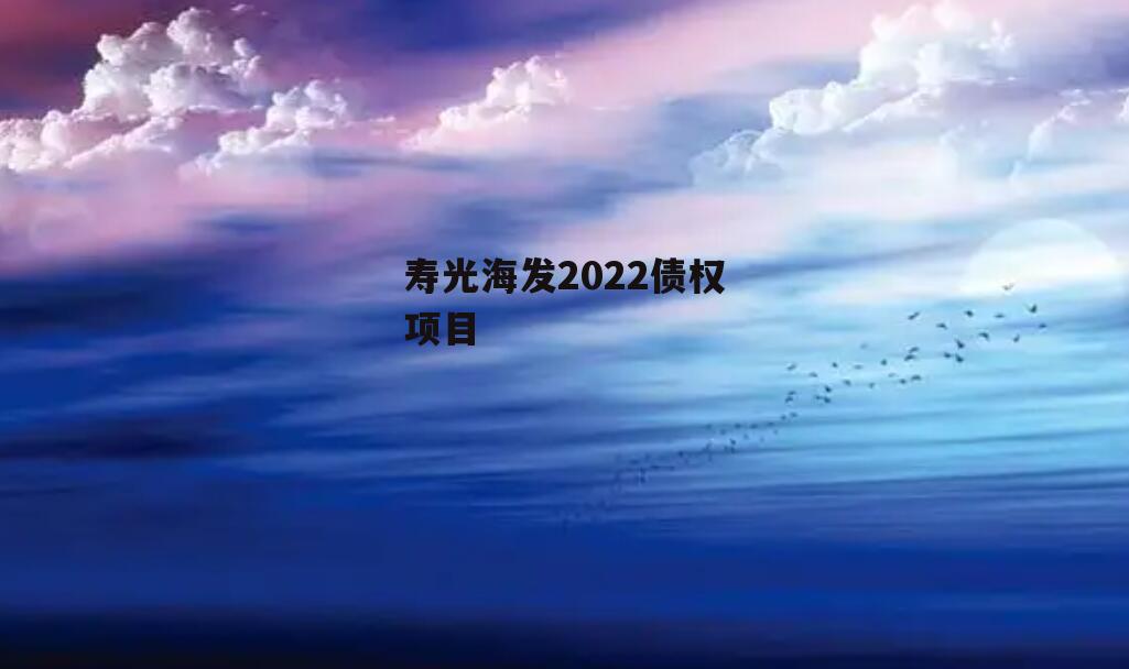 寿光海发2022债权项目