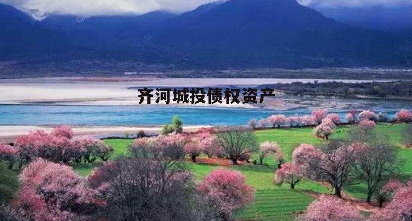 齐河城投债权资产