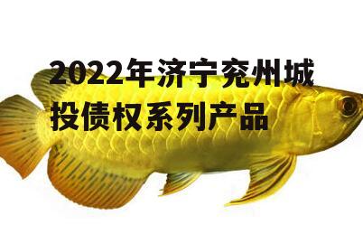 2022年济宁兖州城投债权系列产品