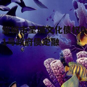邹城市圣城文化债权01号政府债定融