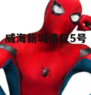 威海新城债权5号