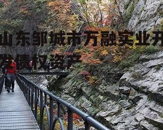 山东邹城市万融实业开发债权资产