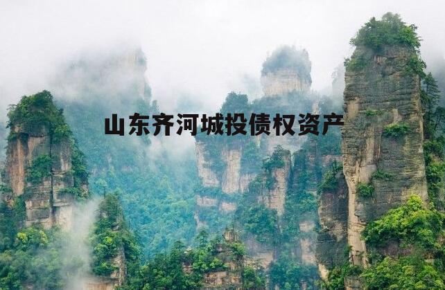 山东齐河城投债权资产