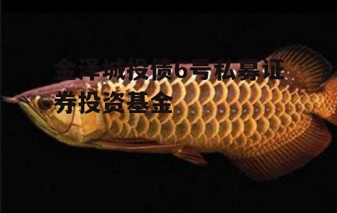 金泽城投债6号私募证券投资基金