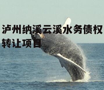 泸州纳溪云溪水务债权转让项目