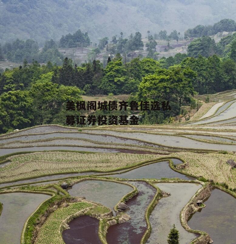 美枫阁城债齐鲁佳选私募证券投资基金