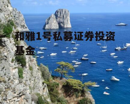 和雅1号私募证券投资基金
