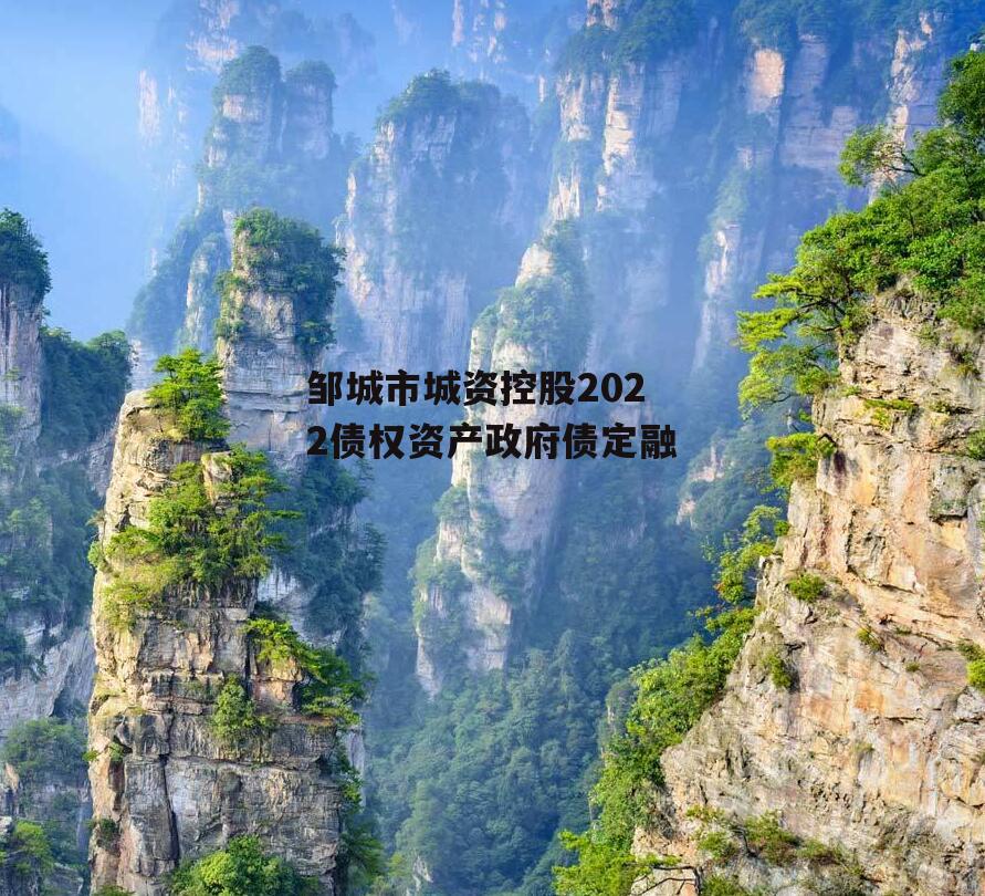 邹城市城资控股2022债权资产政府债定融
