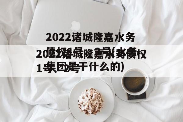 2022诸城隆嘉水务债权1号、2号(水务集团是干什么的)