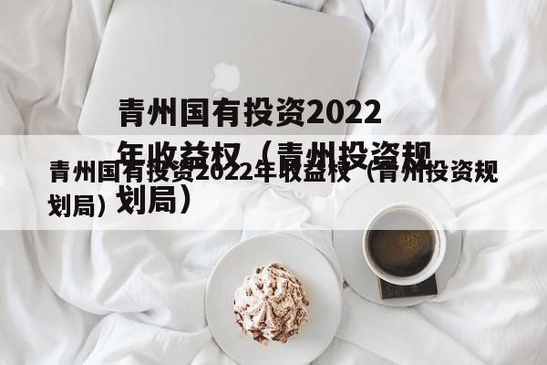 青州国有投资2022年收益权（青州投资规划局）