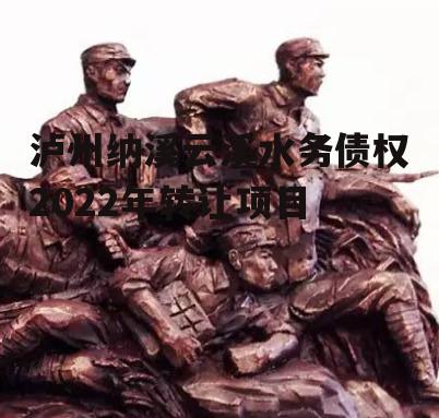泸州纳溪云溪水务债权2022年转让项目