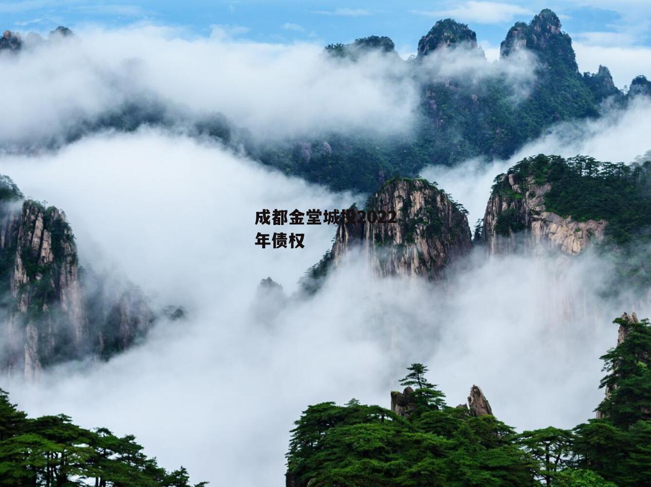 成都金堂城投2022年债权
