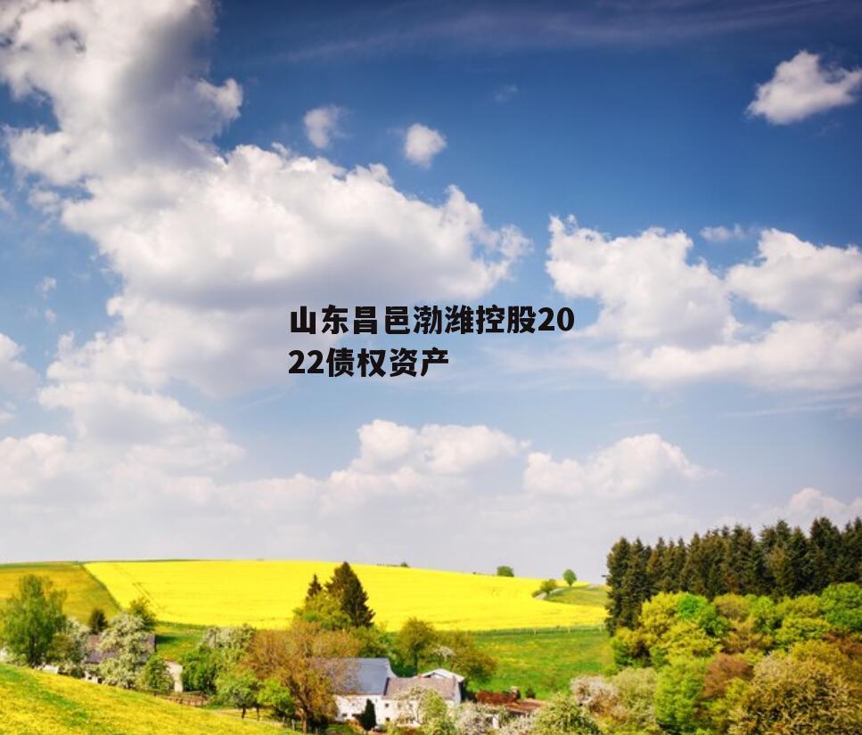 山东昌邑渤潍控股2022债权资产