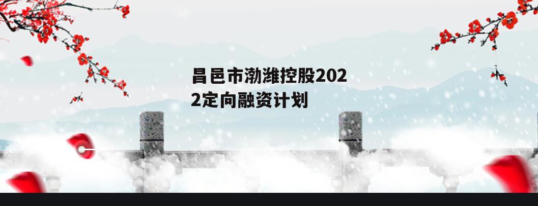 昌邑市渤潍控股2022定向融资计划