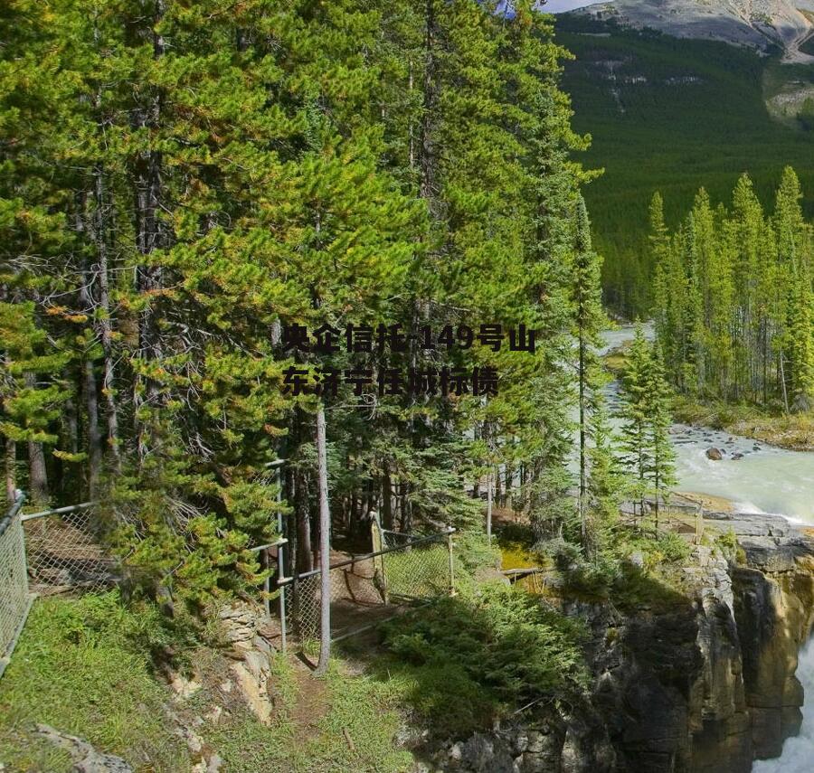 央企信托-149号山东济宁任城标债