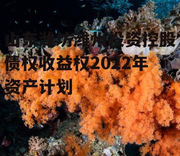 山东潍坊潍州投资控股债权收益权2022年资产计划