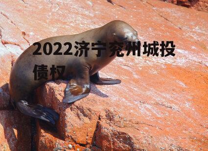 2022济宁兖州城投债权