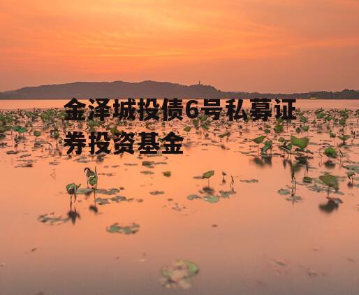 金泽城投债6号私募证券投资基金