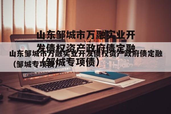 山东邹城市万融实业开发债权资产政府债定融（邹城专项债）